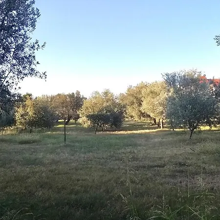 Poola וילה *